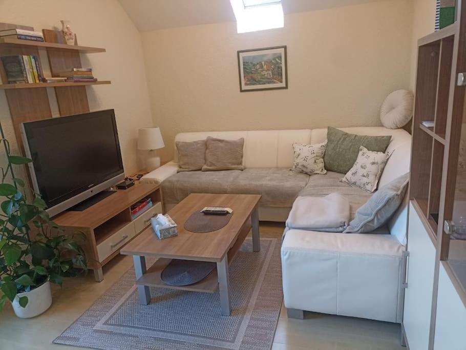 אלטמונסטר Ferienwohnung Guetl Am Weg מראה חיצוני תמונה